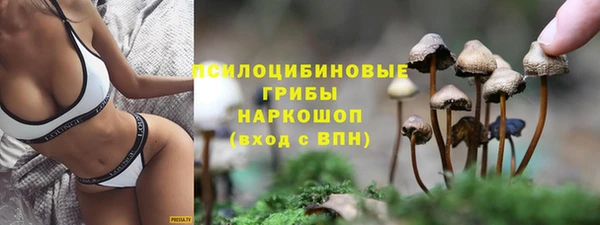 хмурый Ессентукская