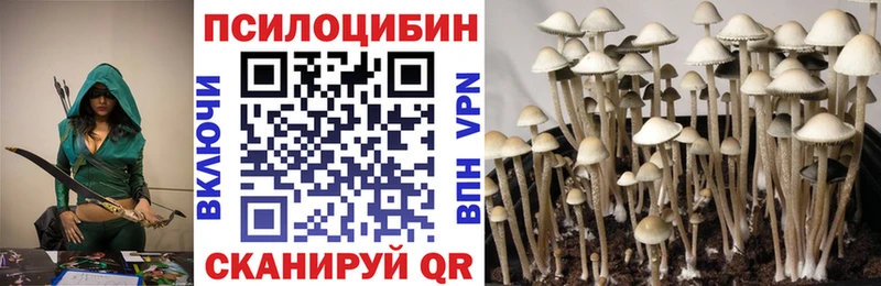 нарко площадка наркотические препараты  omg рабочий сайт  Галлюциногенные грибы GOLDEN TEACHER  Кондопога  где продают  