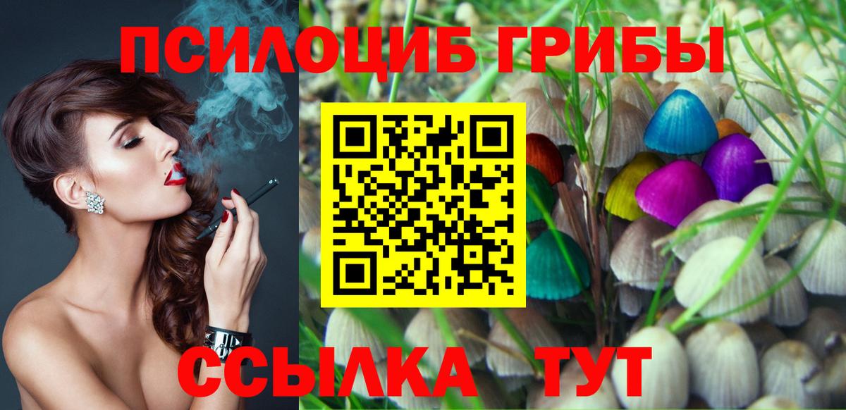 Кондопога  Галлюциногенные грибы прущие грибы  Вход с VPN 
